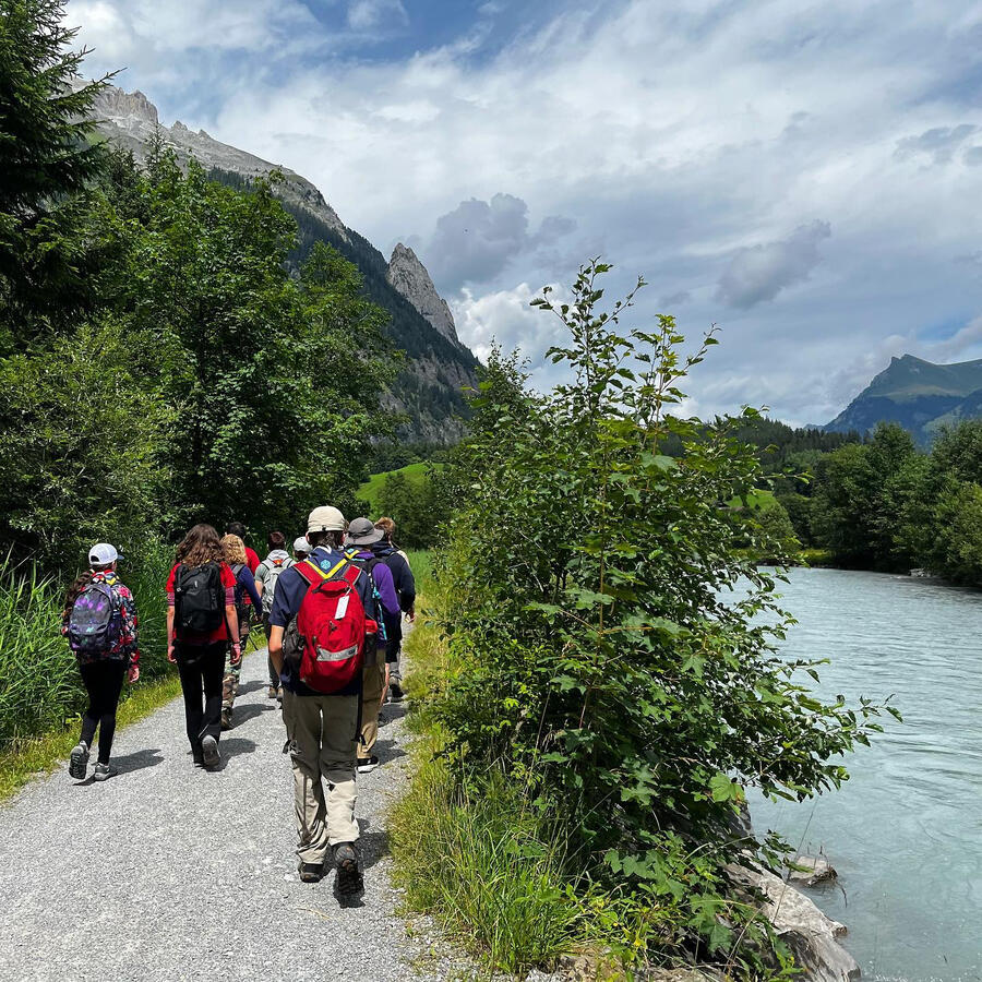 The Beauty of the Alps